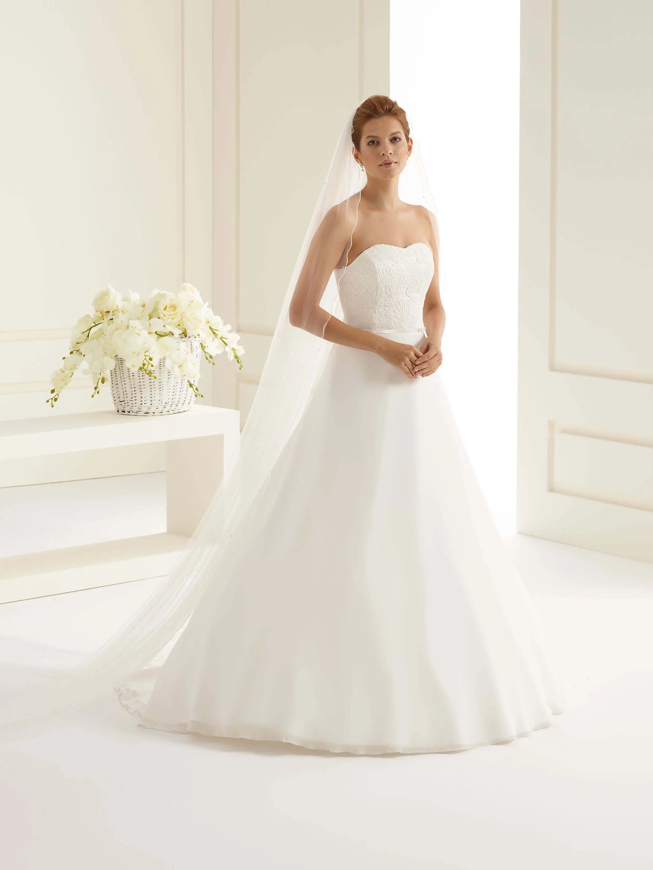 Bianco Evento Schleier S156S Kurbelkante & Kristalle - 300 cm white-emotions