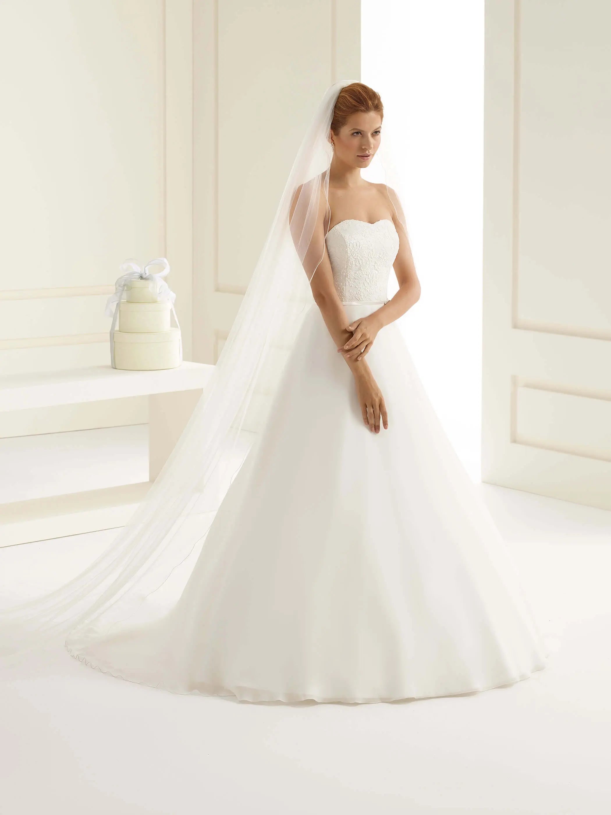 Bianco Evento Schleier S213 Kurbelkante - 300 cm White Emotions