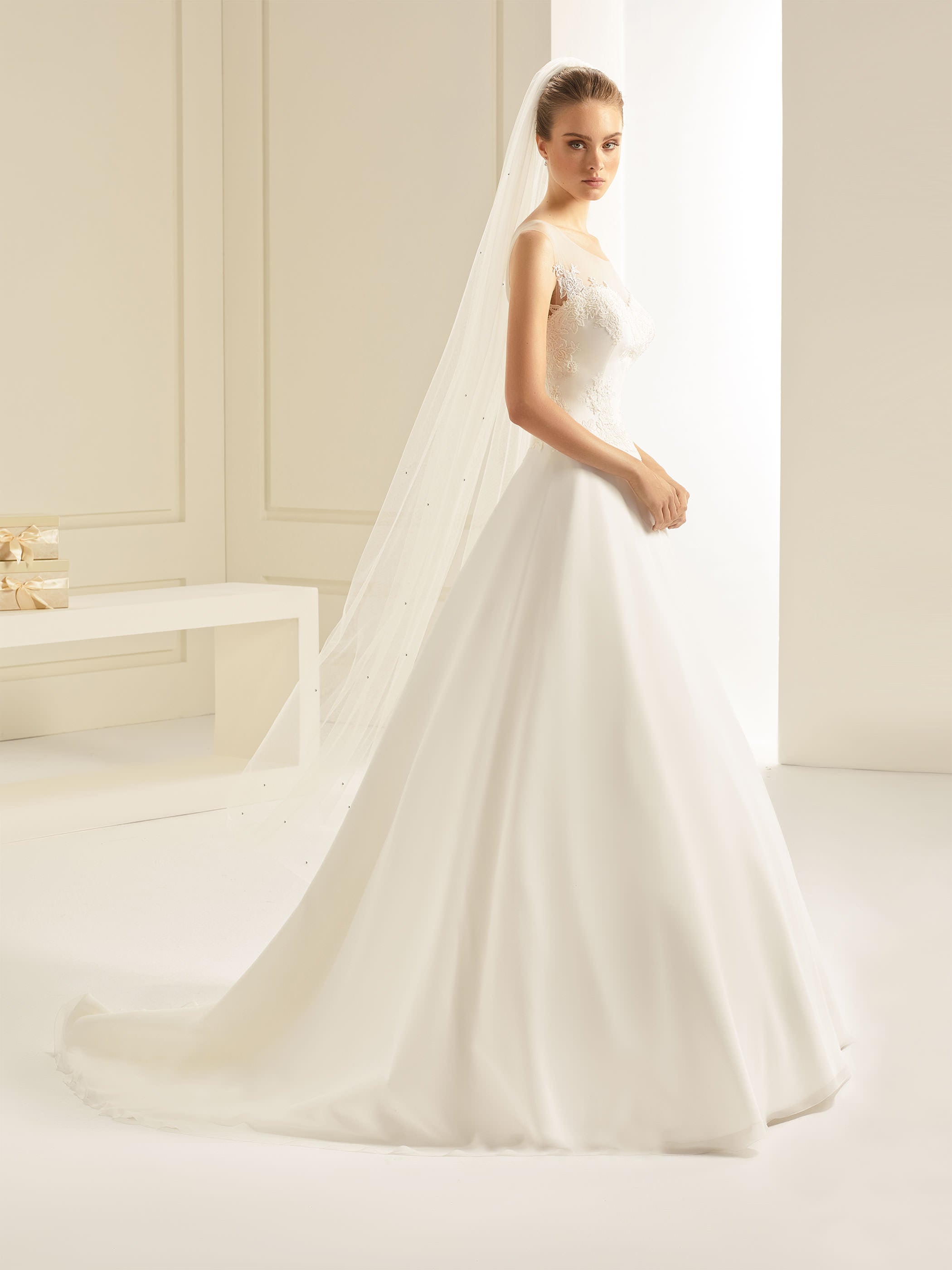 Bianco Evento Schleier S245 Schnittkante & Kristalle - 200 cm White Emotions