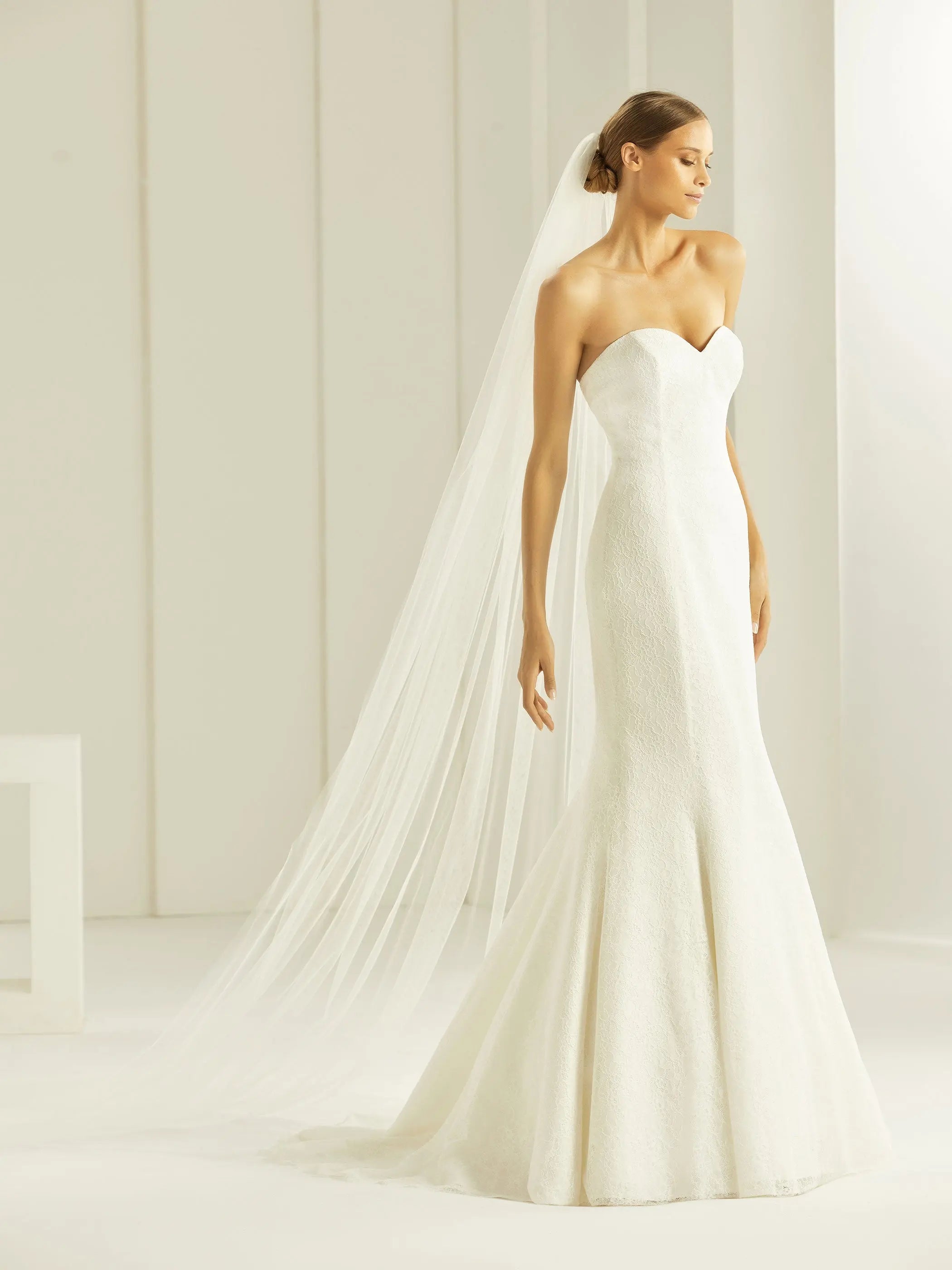 Bianco Evento Schleier S261 Schnittkante - 300 cm White Emotions